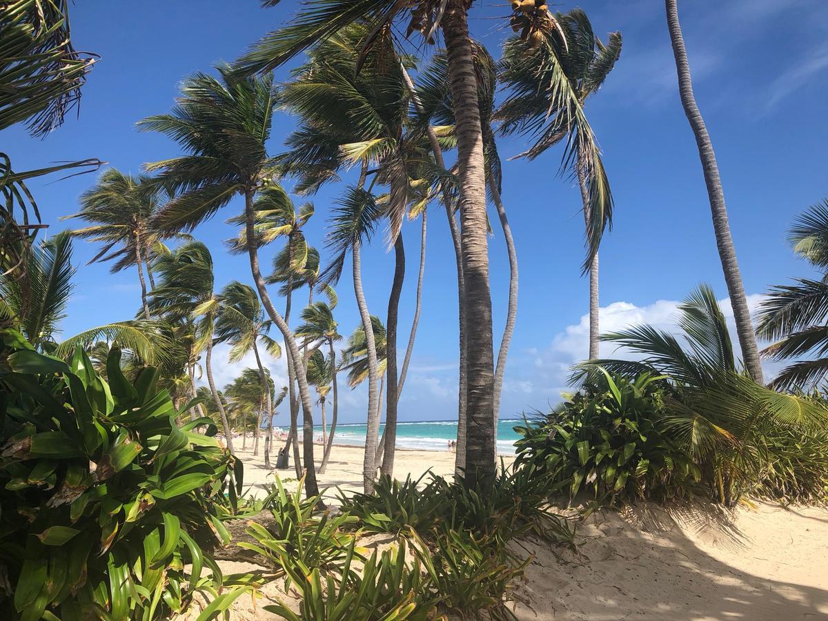 Terraza Art Villa Dominicana プンタ・カナ エクステリア 写真